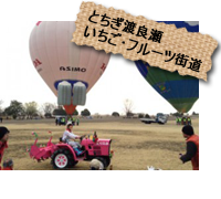 いちごフルーツ街道