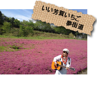 いい芳賀いちご夢街道