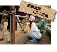 那須高原ミルク街道