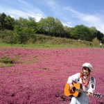 芝桜