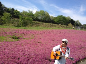 芝桜1